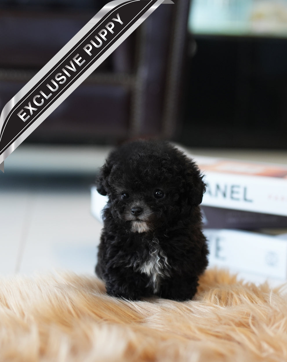 POODLE_COOKIE