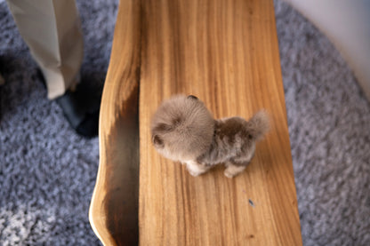 POMERANIAN_COOKIE