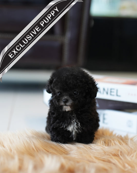 POODLE_COOKIE