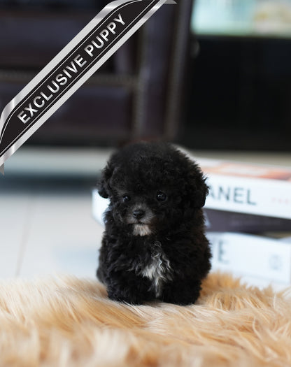 POODLE_COOKIE