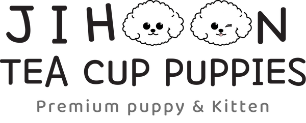 JIHOON TEA CUP PUPPY